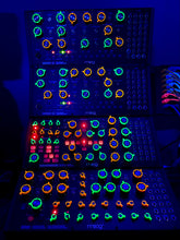 Load image into Gallery viewer, Knobotron - Tactile UV Reactive Knob Rings